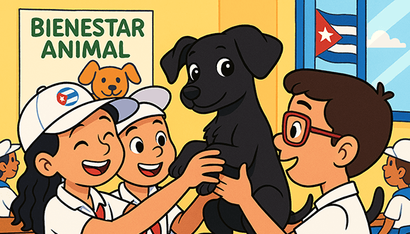 Cuba avanza en bienestar animal mientras otros países luchan