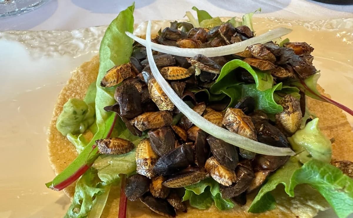 Tacos de tarántula: la gastronomía ancestral que desafía